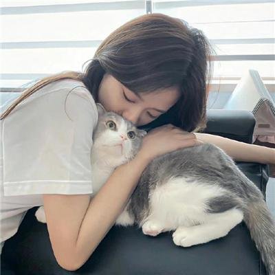 东墙飘香梦
